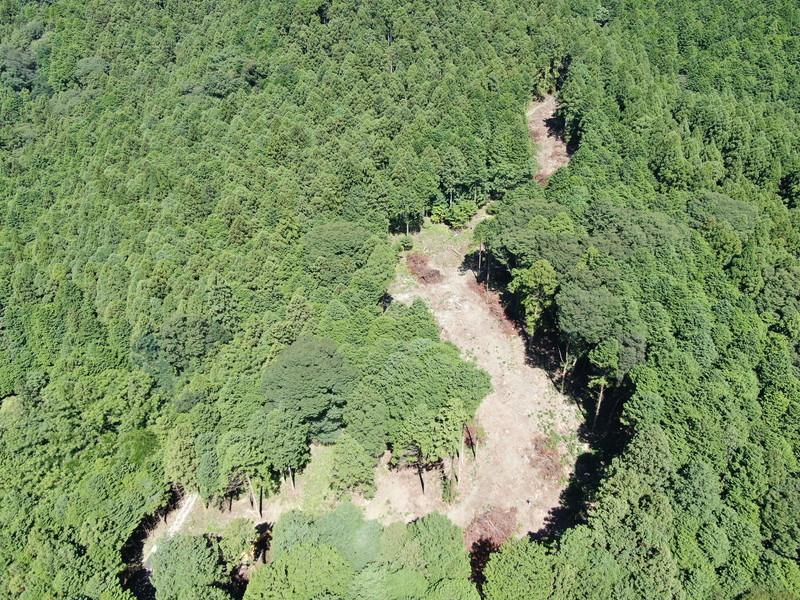 一級水系鈴鹿川水系八島川砂防（管理用道路）工事